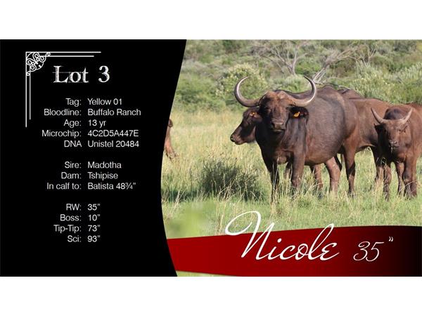 ~/upload/Lots/1465/AdditionalPhotos/5nvxeqy5zg4ug/3 Nicole Info_t600x450.jpg